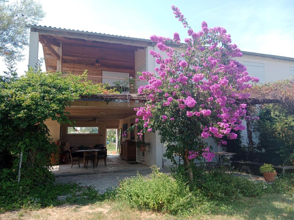 Villa Domaine Limouzy Narbonne Exterior foto